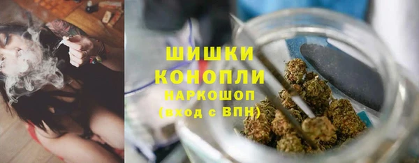 СК Зеленокумск
