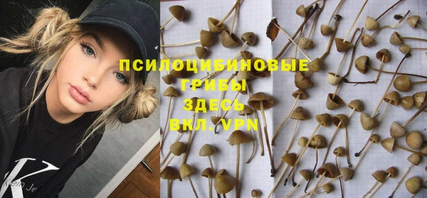 СК Зеленокумск