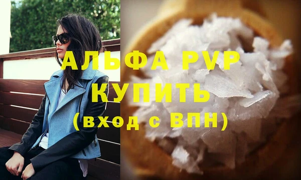 СК Зеленокумск